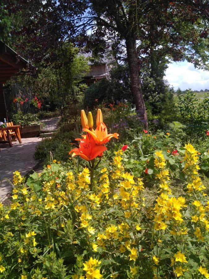 Chalet Le Paradou Adults Only Lessive Exterior foto